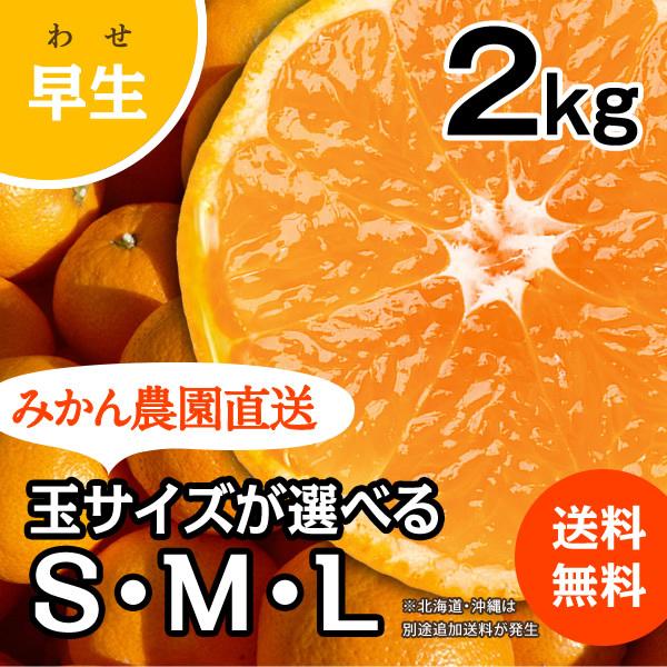 みかん 2kg (S M Lサイズ:早生)甘味と酸味が調和したみかん (出荷:11月下旬-1月)