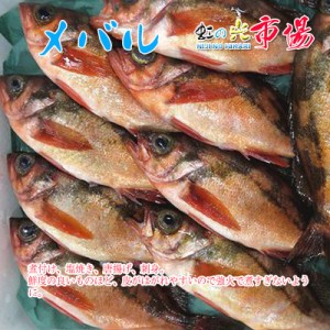 メバル 3kg （１kg 約３～５尾）赤目張 アカメバル 海水魚 煮付け 塩焼き 唐揚げ 刺身