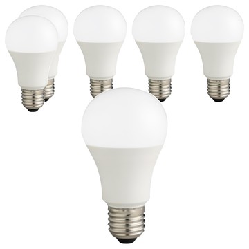 EVERLIGHT 億光 超節能LED球泡燈 9W  自然光  6顆