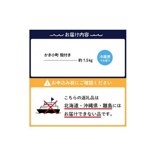 ふるさと納税 広島県 呉市 丸十水産 広島ブランド牡蠣 殻付き かき小町 約1.5kg  (8〜10個) 加熱用