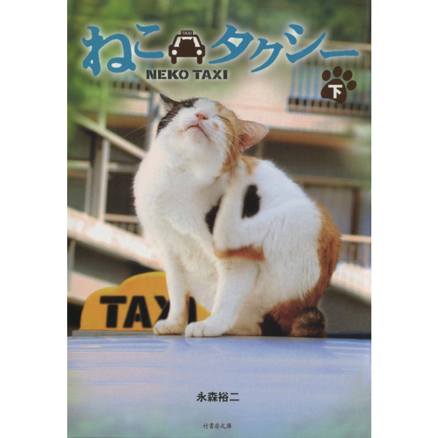 ねこタクシー [下] 電子書籍版   著:永森裕二