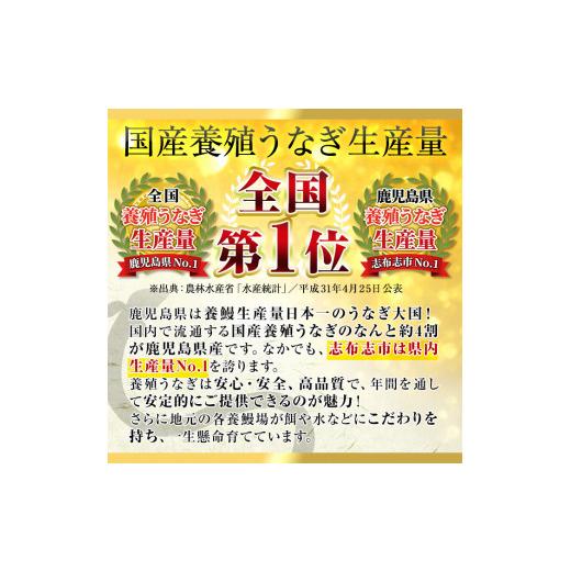 ふるさと納税 鹿児島県 志布志市 楠田の極うなぎ 蒲焼き170g以上×3尾(510g以上) b2-010