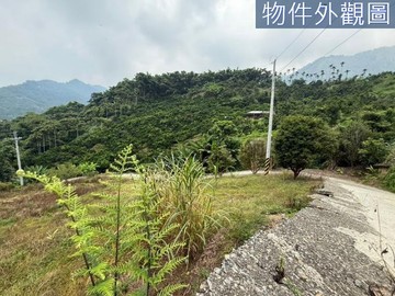 急售~新社柿柿如意景觀美農地(W)｜台中市新社區水底寮段上水底寮小