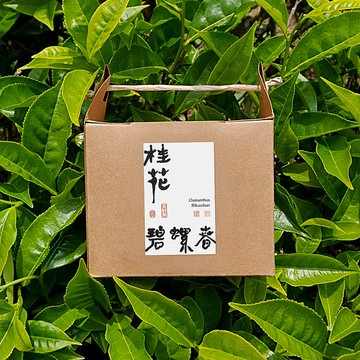 桂花碧螺春 | 茶包10入【鮮爽桂香】