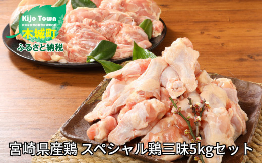 ＜宮崎県産鶏 スペシャル鶏三昧5kgセット＞ K16_0017_3