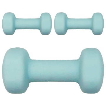 MICHAEL FITNESS 麥克健身 鑄鐵啞鈴 藍色  3kg  3kg  3個