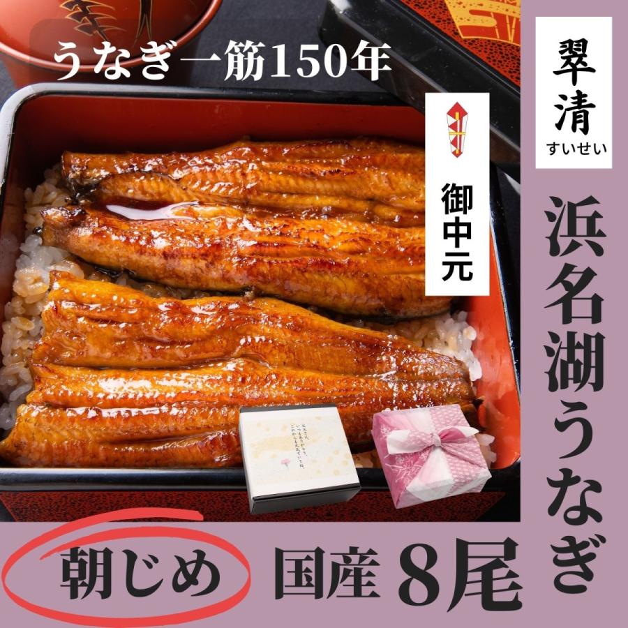 うなぎ 蒲焼 8尾 国産  鰻 ウナギ お中元 高級 人気 美味しい 浜名湖 静岡 老舗 店舗 冷蔵 のし 朝じめ 贈答 贈り物 ギフト お祝い お取り寄せ 内祝 地焼き