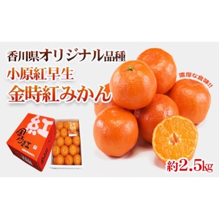 ふるさと納税 香川県オリジナル品種 小原紅早生みかん（金時紅）約2.5kg 化粧箱入 香川県東かがわ市