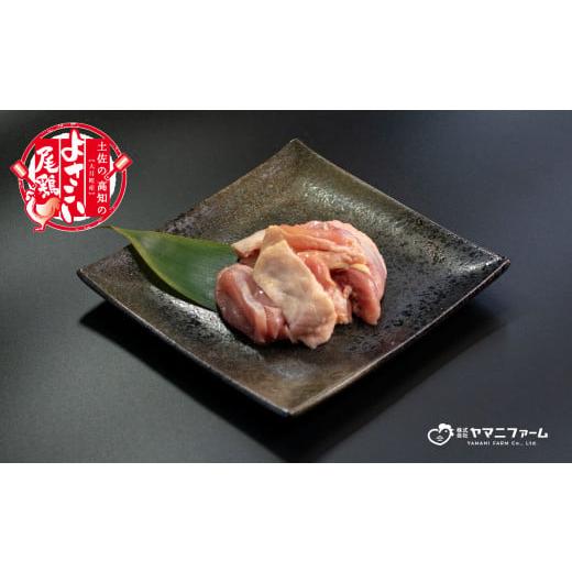 ふるさと納税 高知県 大月町 よさこい尾鶏 もも肉角切り（300g）×9パック