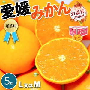 愛媛みかん 贈答用 5kg M又はLサイズ 1箱 愛媛県宇和島産 お歳暮ギフトにも JAえひめ南より直送