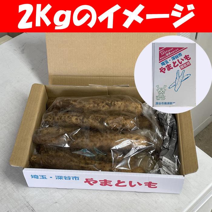 本場 大和芋4Kg A品