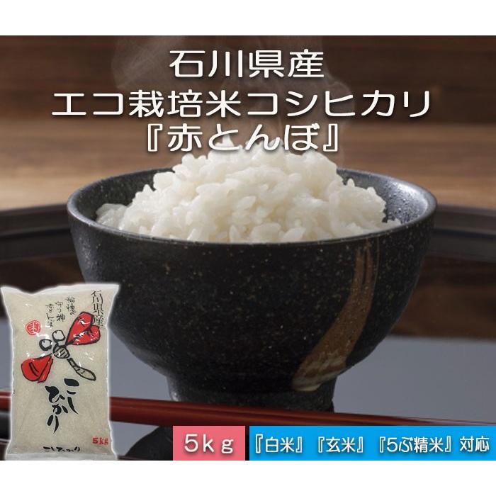 令和5年産 新米 加賀百万石 こしひかり エコ栽培米 石川県産 赤とんぼ   白米 5kg