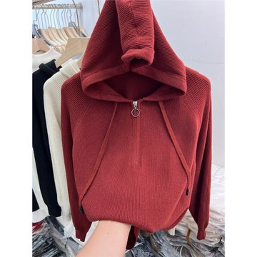 2024秋裝新款高級感休閑軟糯長袖針織衫連帽衫女上衣洋氣套頭毛衣