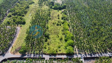 新埤庄邊方正休閒農地S｜屏東縣新埤鄉南豐段