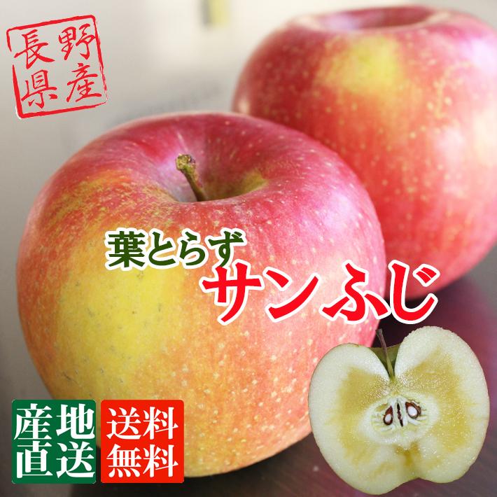 信州産 りんご 葉とらず サンふじ 約３kg（7-9玉）　送料無料 完熟 リンゴをお届けします。