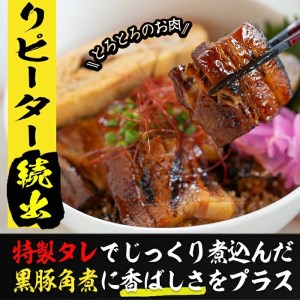 グランプリの味をお家で堪能！鹿児島県産黒豚使用 黒豚三昧丼セット(5食入) a3-051