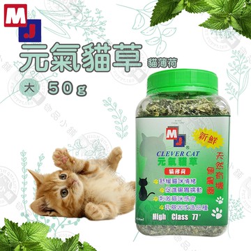 【MJ 萌洲】聰明貓 元氣貓草 50G  貓薄荷草 維他命C 葉綠素 助化毛 貓草 貓零食