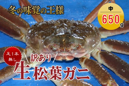 松葉ガニ 訳あり足１本なし生松葉ガニ（中650g）かに カニ 蟹 生 新鮮 かに カニ 蟹 松葉ガニ 松葉がに かに カニ 蟹 生