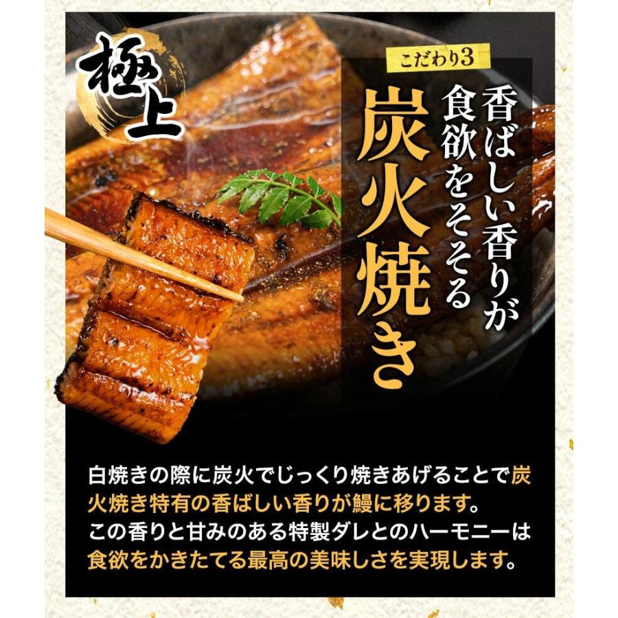 うなぎ 国産 蒲焼 蒲焼き 1尾155g以上 合計310g 鰻 九州産 ウナギ 鰻 ギフト 贈り物 九州 冷凍 1-5営業日以内に出荷予定(土日祝除)