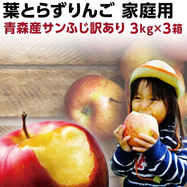 予約商品 りんご 青森 葉とらず サンふじ ご家庭用 約9kg 約3kg×3箱ちょっぴり 訳あり 送料無料 産直 世界が認めたリンゴ Y常