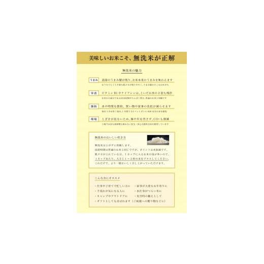 ふるさと納税 北海道 厚真町 《令和5年度産 新米》北海道厚真町限定生産ブランド米　さくら米（ななつぼし）１年間　毎月5kgコース