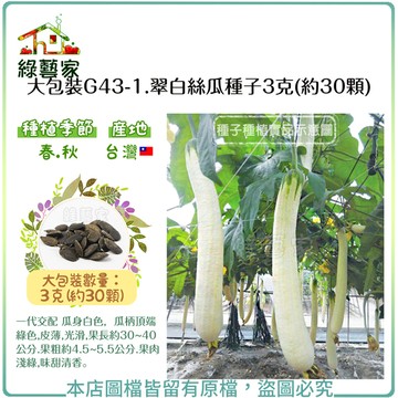 【綠藝家】大包裝G43-1.翠白絲瓜種子3克(約30顆)