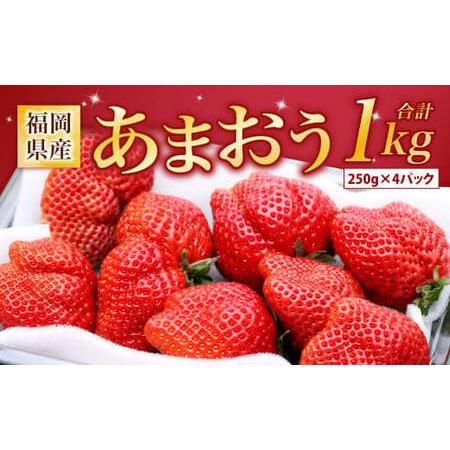 ふるさと納税  福岡県産 あまおう 計1kg (250g×4パック) 福岡県北九州市