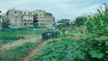 平鎮新光路技嘉科技旁都計內大面寬美農地｜桃園市平鎮區中庸段