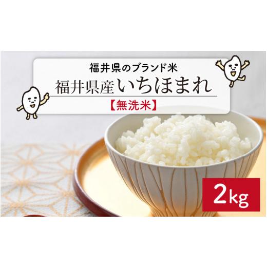 ふるさと納税 福井県 坂井市  福井県のブランド米 いちほまれ 無洗米 2kg[A-6101]