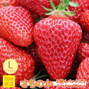 送料無料 地域厳選 いちご イチゴ さちのか 幸の果 苺 秀品 特大 大粒 2L 以上 2箱 4パック入り 270g 4パック 秀品