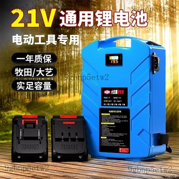 【優質】背包 大容量通用21v 背負式 園林電動原裝 大功率 外接 電