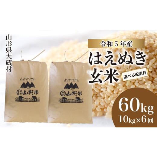 ふるさと納税 山形県 大蔵村 令和5年産 大蔵村 はえぬき  60kg定期便 （10kg×6回発送）