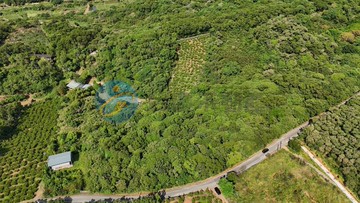 Q123蕃薯段雙臨路美地｜新北市淡水區蕃薯段