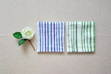 絕版出清 !【GTS/衛生用品包/口罩收納包】手繪線條 藍 綠