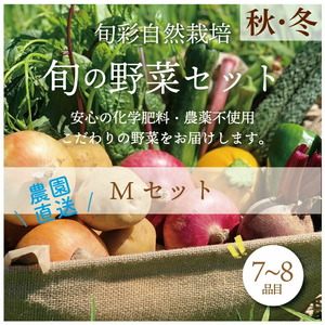 都内マルシェで人気のお野菜！秋冬 旬の野菜セットMサイズ(7～8品) F21R-212