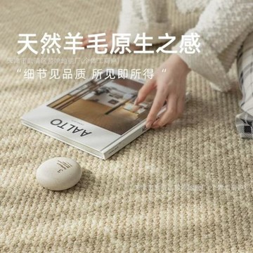 大宅摯愛!米色輕奢高級花苞顆粒羊毛客廳地毯家用臥室滿鋪免洗墊