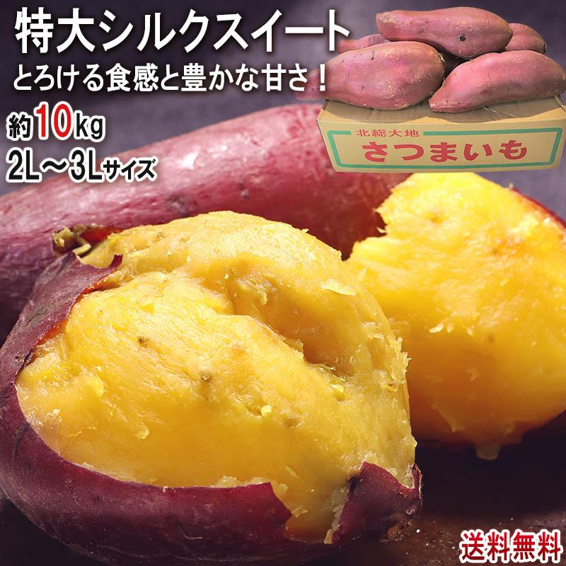 シルクスイート 特大さつまいも 約10kg L〜3Lサイズ 千葉県・茨城県産 お得用 家庭用限定 産地箱入り 滑らかな食感と溢れんばかりの甘さ！