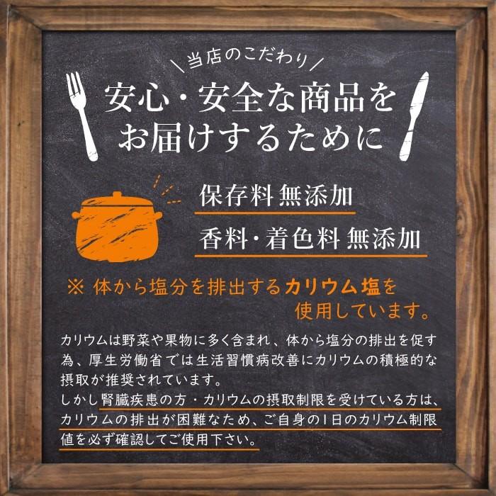 無塩 カレー 日本初 塩ぬき屋  食塩不使用 チキンカレー 辛口 ２袋セット 減塩 中の方にも お歳暮 お歳暮ギフト お歳暮プレゼント