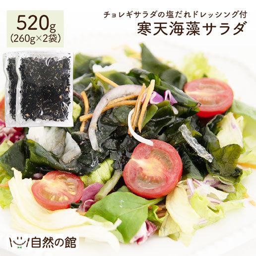 送料無料 寒天 メガ盛り 寒天海藻サラダ 2袋セット 味噌汁の具 メガ盛520g(260g×2)  湯戻し 簡単 まとめ買い ダイエット 業務用 非常食 ミネラル