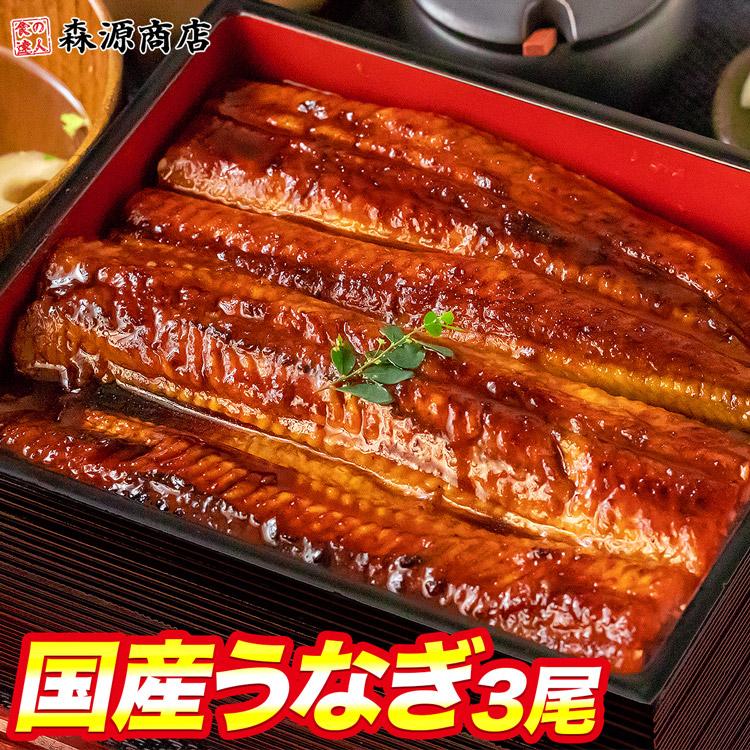 国産うなぎ 3尾 約150g ×3 鰻 うなぎ ウナギ 蒲焼 かば焼き 土用丑 土用 丑の日 スタミナ 夏 冷凍便 ギフト お取り寄せグルメ 食品