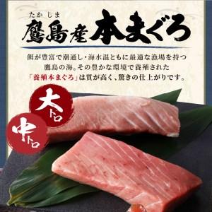 ふるさと納税 鷹島産最高級本まぐろ 大中合わせて400g(まぐろ丼たれ付き)（マグロ 本マグロ 鷹島産本マグロ まぐろ 本まぐろ 鷹島産本まぐろ 鮪 .. 長崎県松浦市