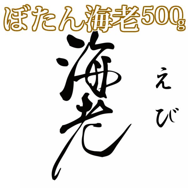 天然ぼたん海老　500g