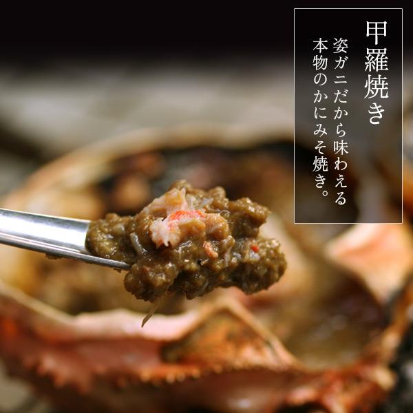 お歳暮 ギフト ボイルズワイガニ姿1.2kg（600g前後×2枚セット） かに カニ 蟹 送料無料（北海道・沖縄を除く）