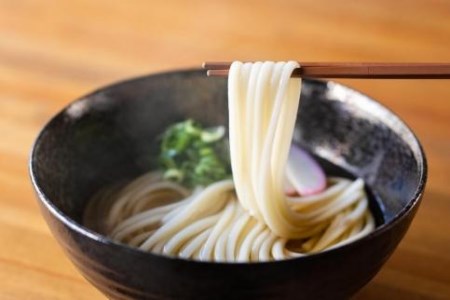 手延べうどん 半生タイプ 10袋入り