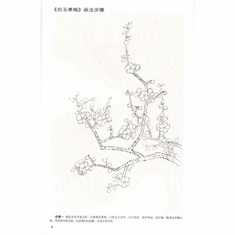 うめ 墨梅 名家画彩 梅の描き方 水墨画技法書 中国絵画/名家画彩
