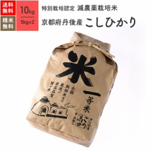 米 お米 特別栽培米 京都 丹後産 コシヒカリ 10kg 5年産