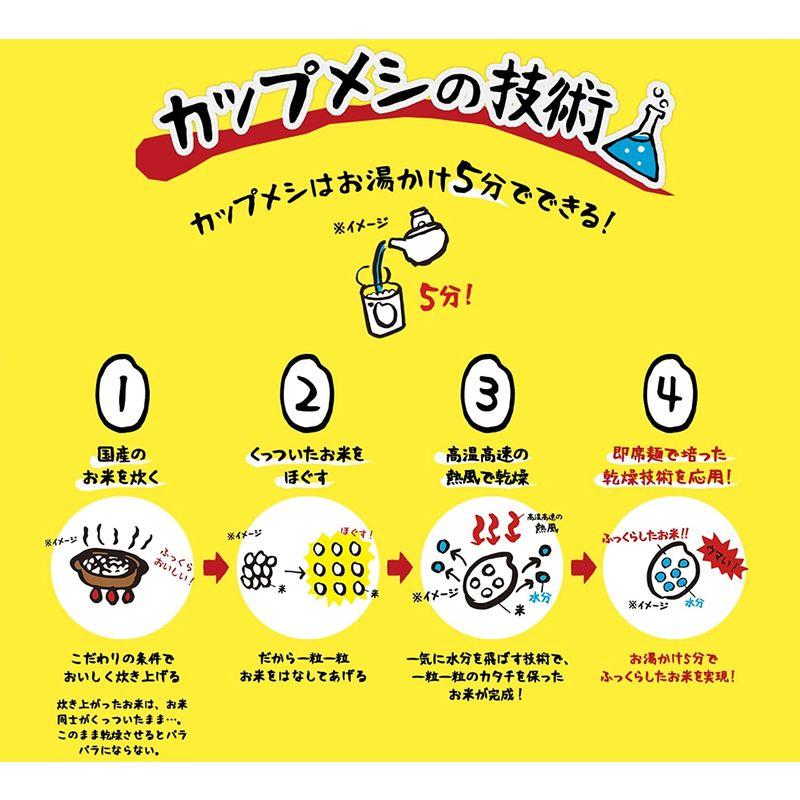 日清食品 チキンラーメン ぶっこみ飯 77g×6個