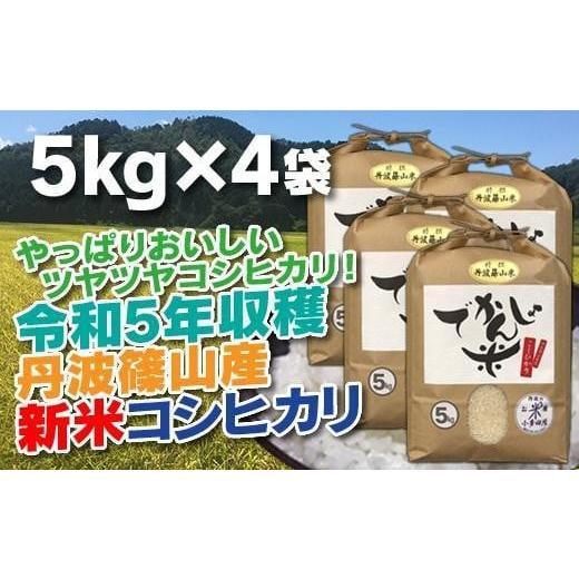 ふるさと納税 兵庫県 丹波篠山市 新米！抜群の味と香り　丹波篠山産コシヒカリ5kg×4