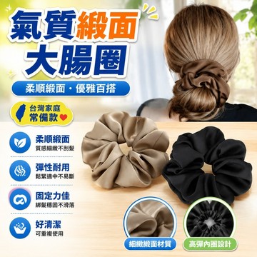 🚀隔日達出 可開統編❤️緞面大腸髮圈氣質扎頭繩簡約丸子頭百搭顯白輕奢頭繩扎頭髮 高雅緞面蝴蝶結髮圈 蝴蝶結髮圈 緞面髮圈