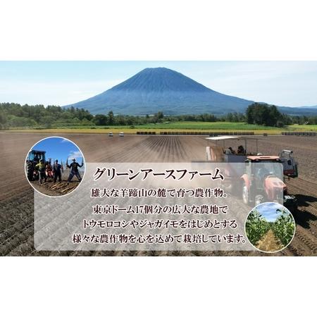 ふるさと納税 北海道 倶知安町産 長芋 2L×約6本 計5kg 春堀り 芋 ながいも とろろ 新鮮 フレッシュ 野菜 農作物 産直 山芋 麦とろ 山かけ.. 北海道倶知安町